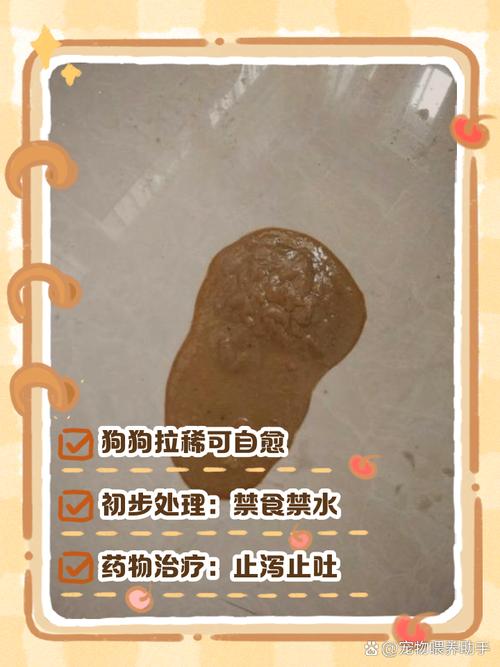 狗狗拉稀怎么办?