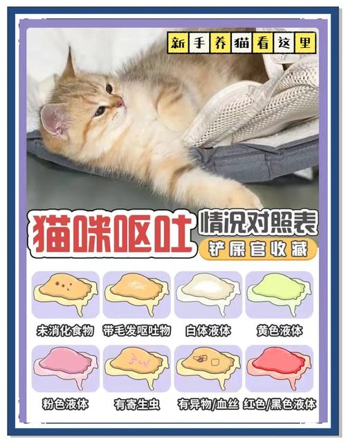 福利猫咪“咳嗽”“呕吐”怎么判断?