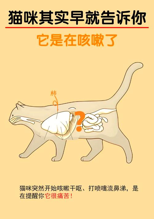 猫咪咳嗽什么样