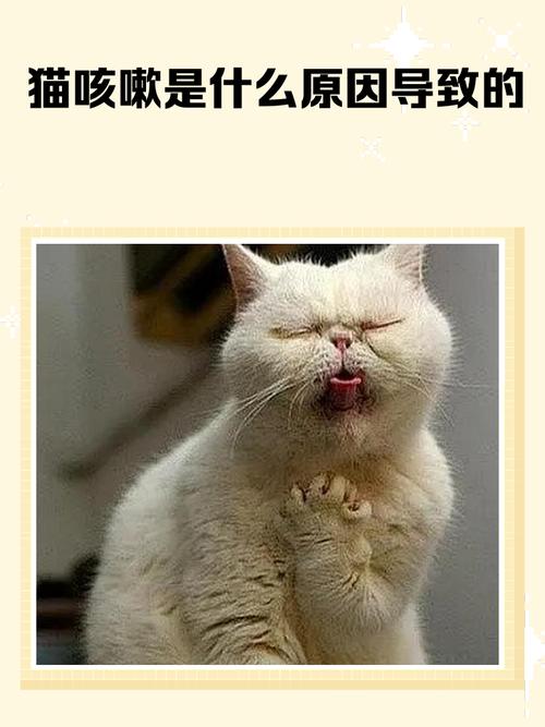 如何判断猫咪是咳嗽还是打喷嚏?猫咪呼吸道异常原因与解决方法