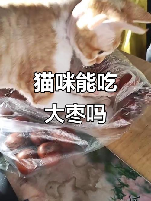 两个月的猫咪可以吃红枣吗?