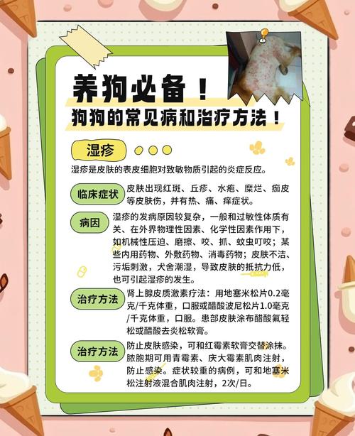 狗狗湿疹可以自愈吗