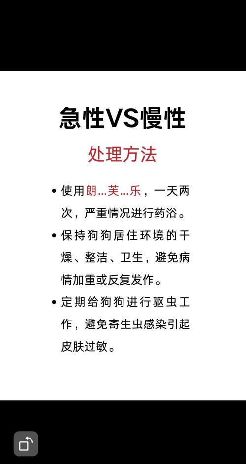 狗狗得了湿疹怎么办