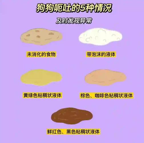 狗狗呕吐的5种情况!