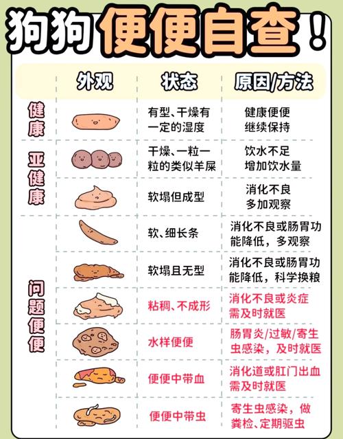 狗狗洗澡后吐了是怎么回事