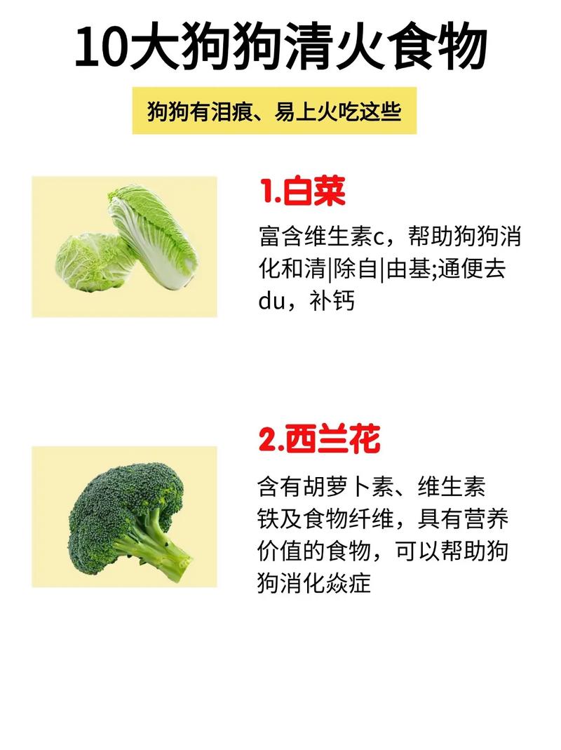 狗狗吃什么去泪痕