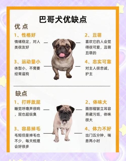 100个霸气的狗狗名字