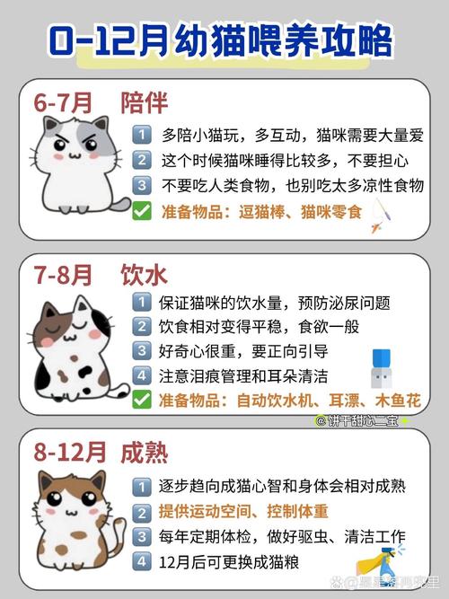 小猫一般长到多大就定型了,就不长了