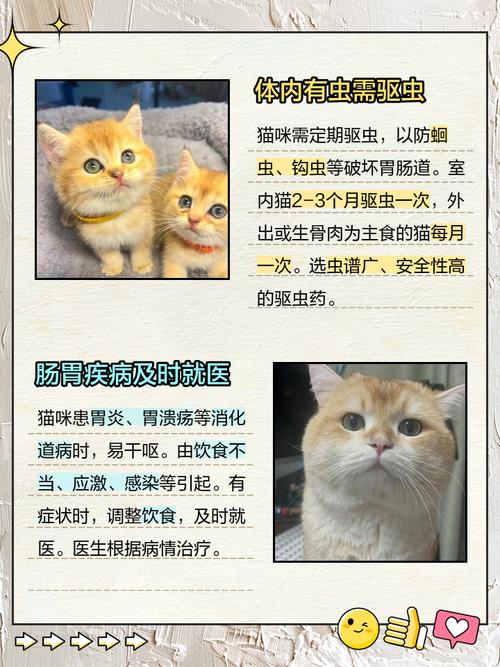 猫猫一直干呕是怎么回事?