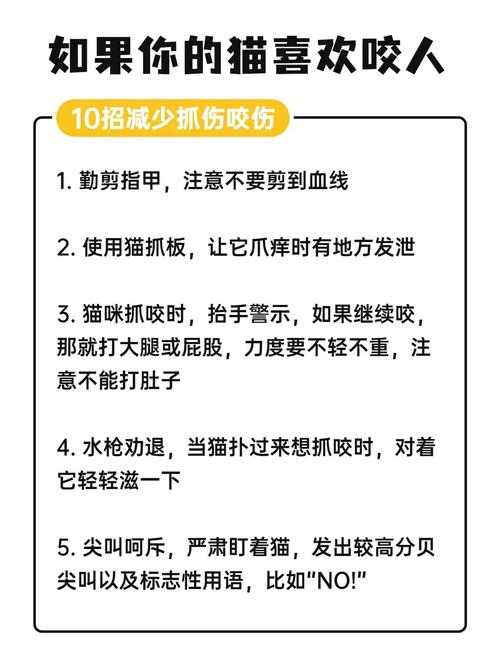 猫咪爱咬人抓人怎么办