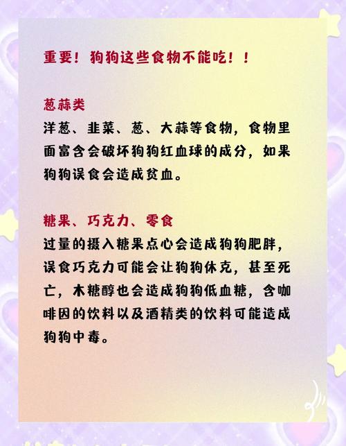 狗狗做月子要吃什么补身体