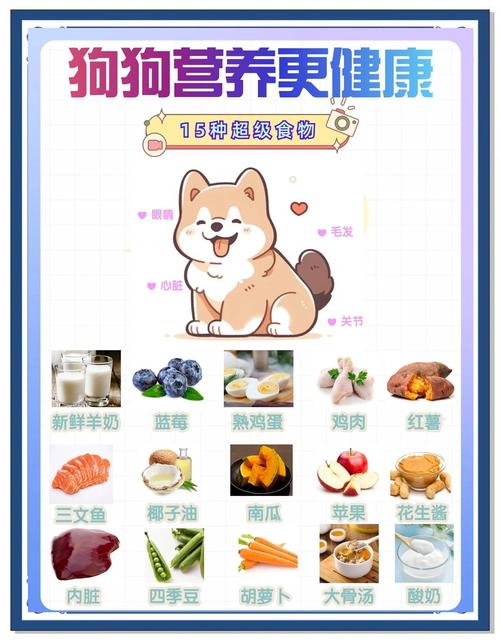 狗狗应该吃什么补营养