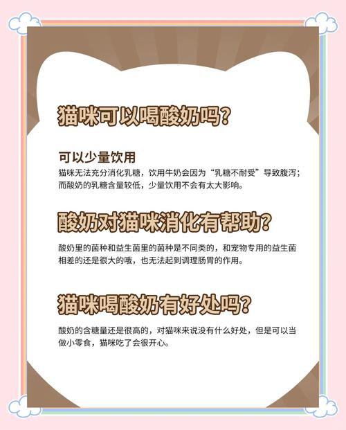 猫喝什么酸奶比较好?