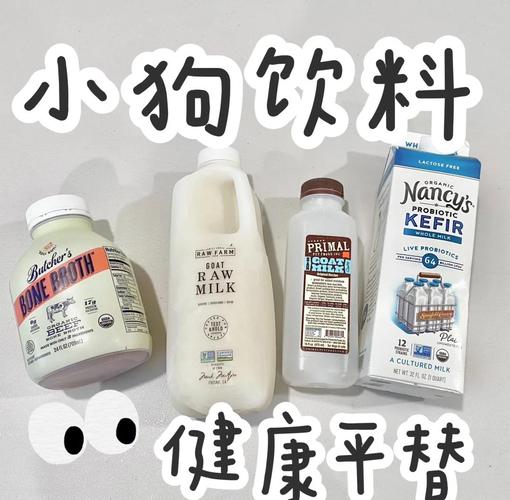 狗狗为什么不能喝橙汁