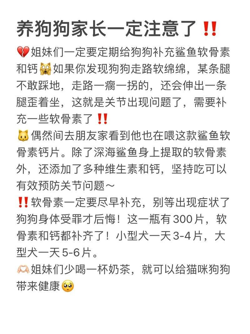 泰迪狗后腿罗圈腿