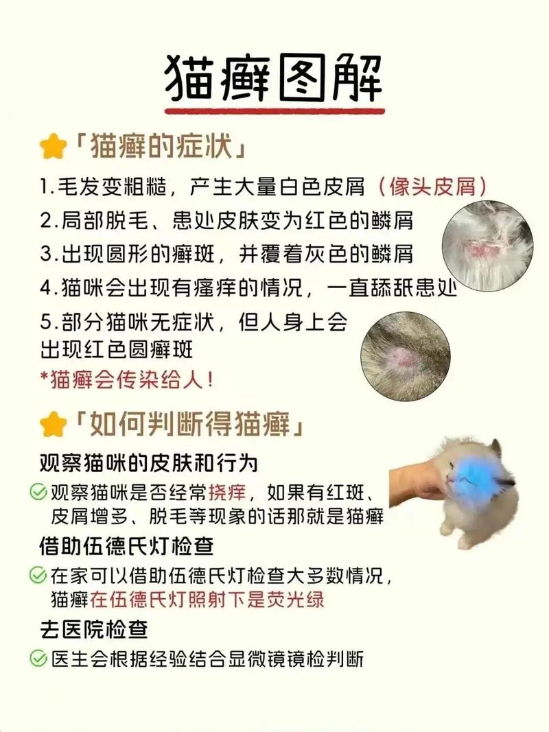 猫咪身上的猫藓会自愈吗?