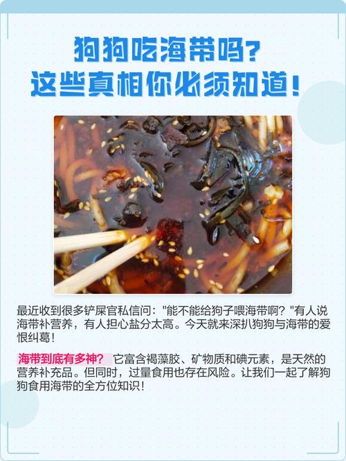 给狗狗吃海带的好处及方法
