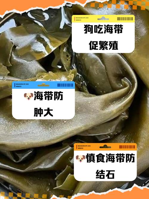 海带可以给狗狗吃吗?