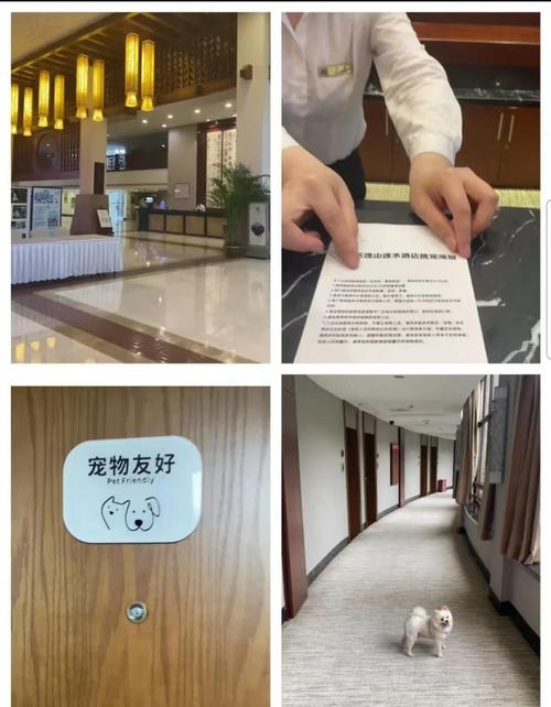 可以带小狗狗入住酒店吗