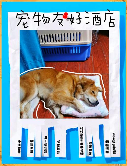 住宾馆时可以带狗吗?