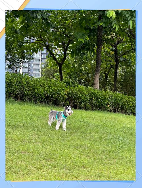 带宠物住酒店前台看到要不要紧?