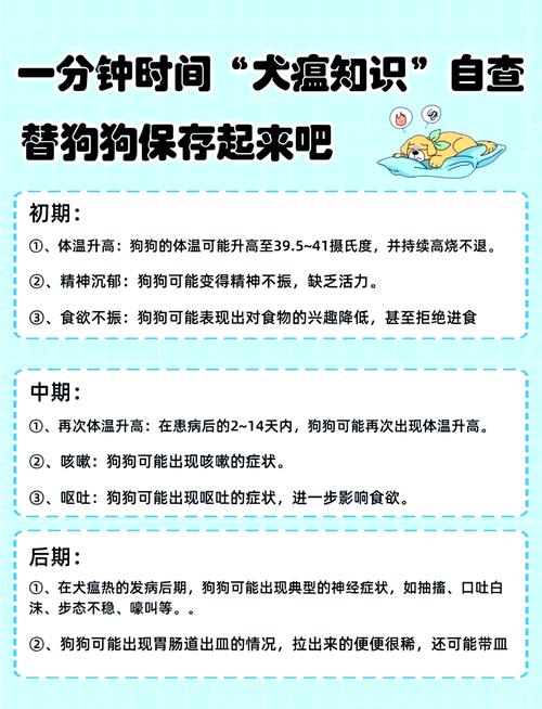 小狗得了犬瘟热怎么办啊?