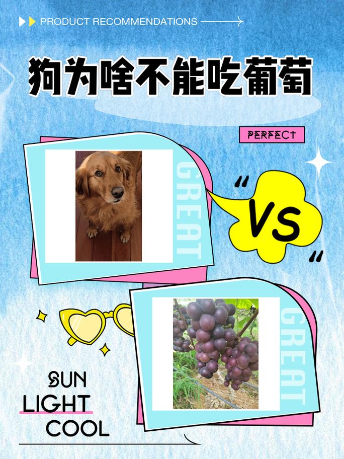 为什么狗狗不能吃葡萄