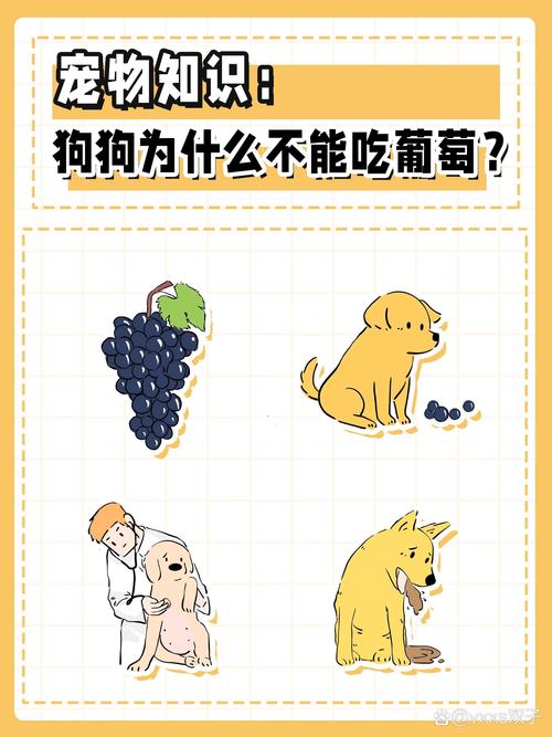 狗狗为什么不能吃葡萄提子