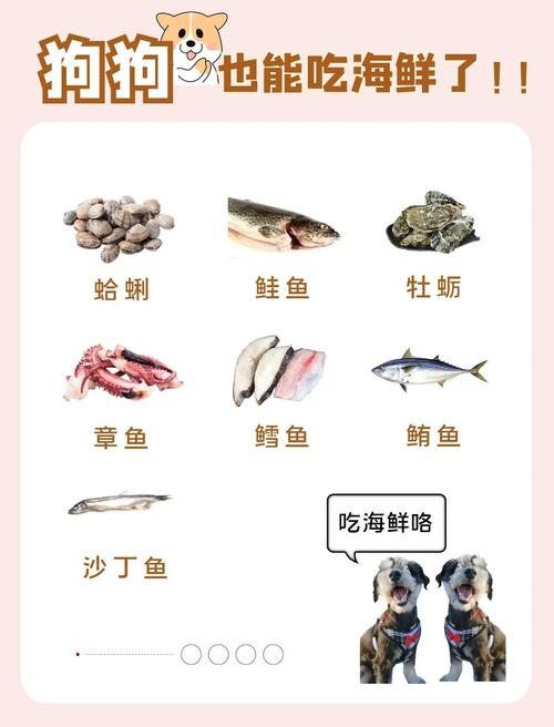 狗狗能吃海鲜吗,狗狗吃海鲜有什么危害?