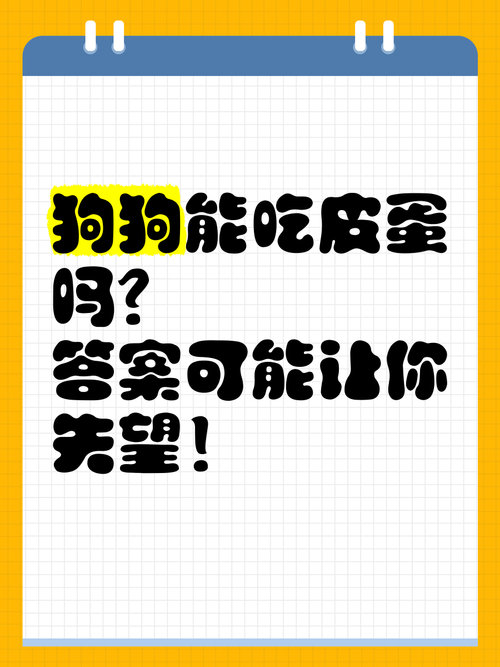 狗狗吃蛋壳不可以补钙,误拿家犬来尝试错误,当心补出消化不好