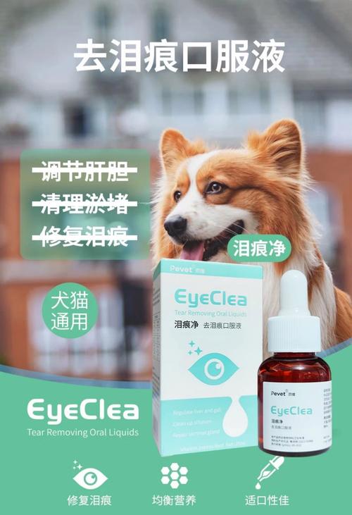 小猫流眼泪有眼屎