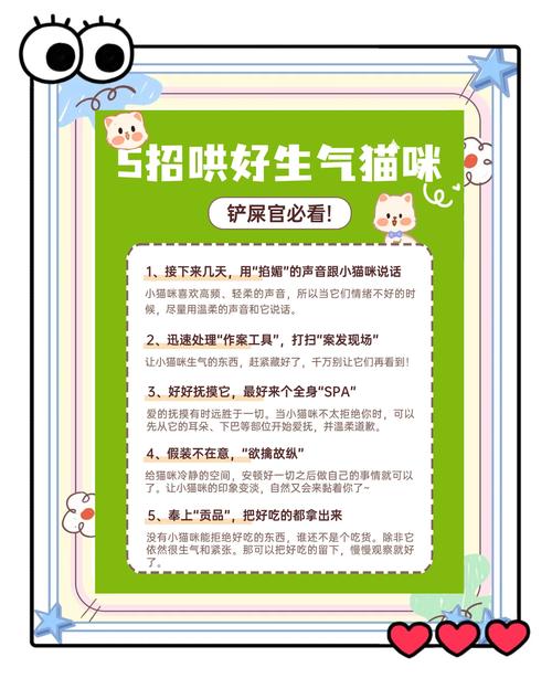 猫咪生气怎么办?