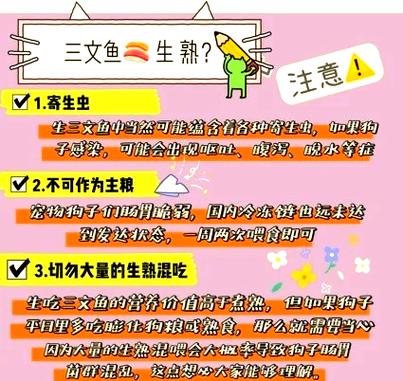 三文鱼怎么做给狗狗吃