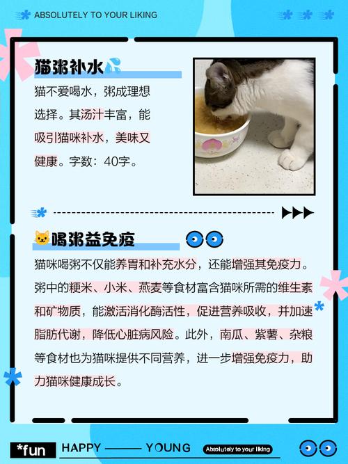 猫咪肾衰竭能喝小米粥吗