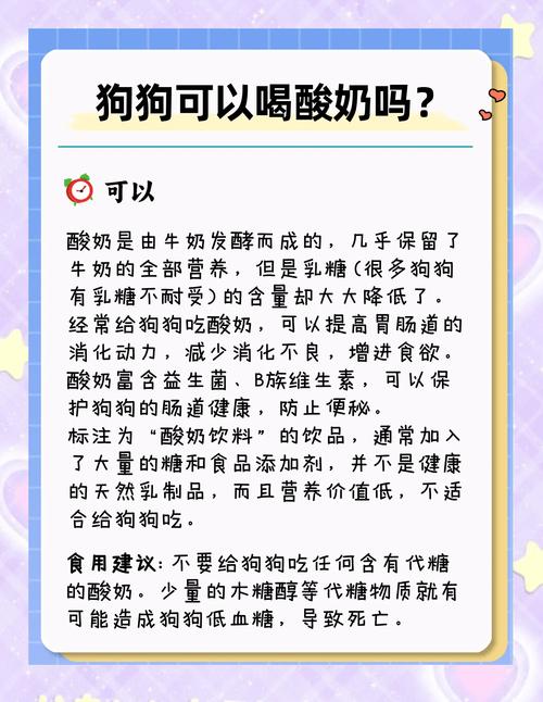 狗狗可以每天喝酸奶吗
