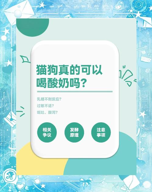 小狗可不可以喝酸奶