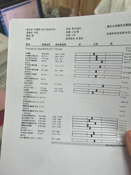 公猫绝育必须要做生化六项吗