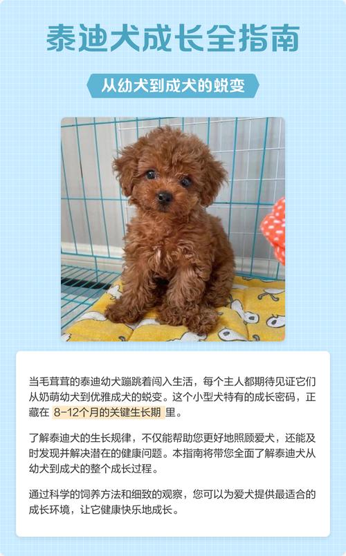 狗狗几个月成年就不再长了