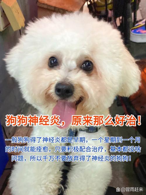 狗狗脑炎一般多久能好啊