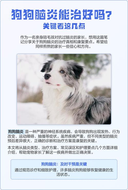 狗狗得了慢性脑炎