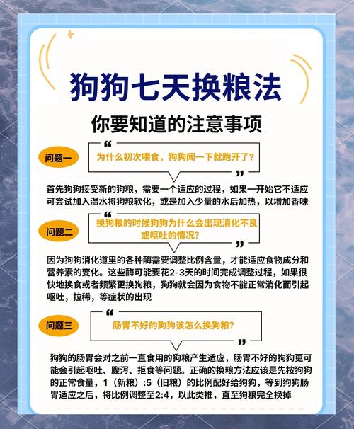 狗的年龄多大了算老狗