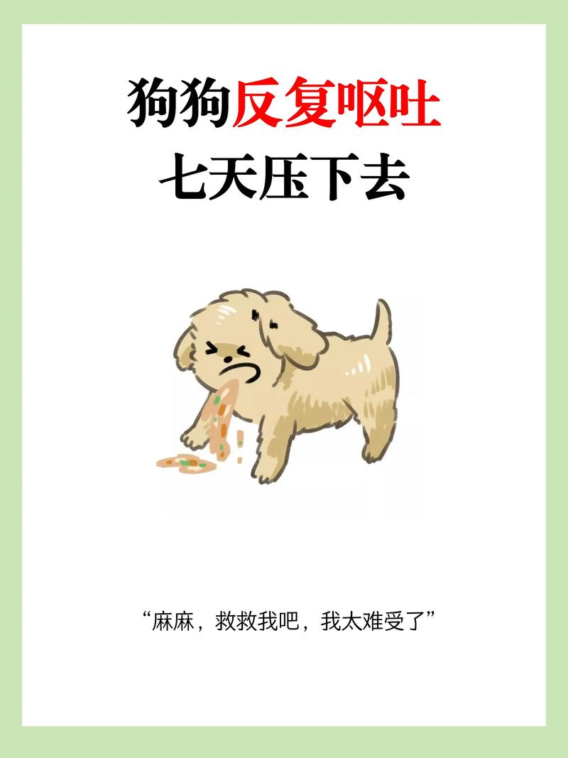 米汤养小奶狗可以吗?