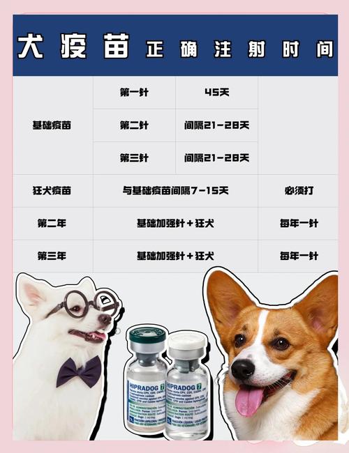 狗狗每年都要打疫苗吗都打啥疫苗
