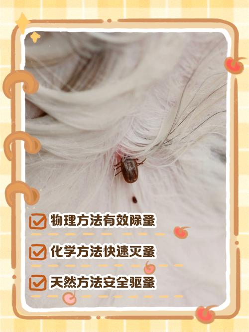 狗身上的跳蚤如何处理干净