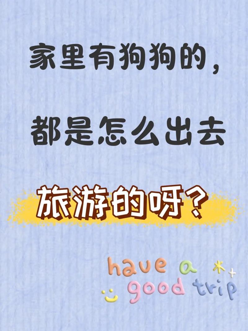 出门旅游狗狗怎么办?
