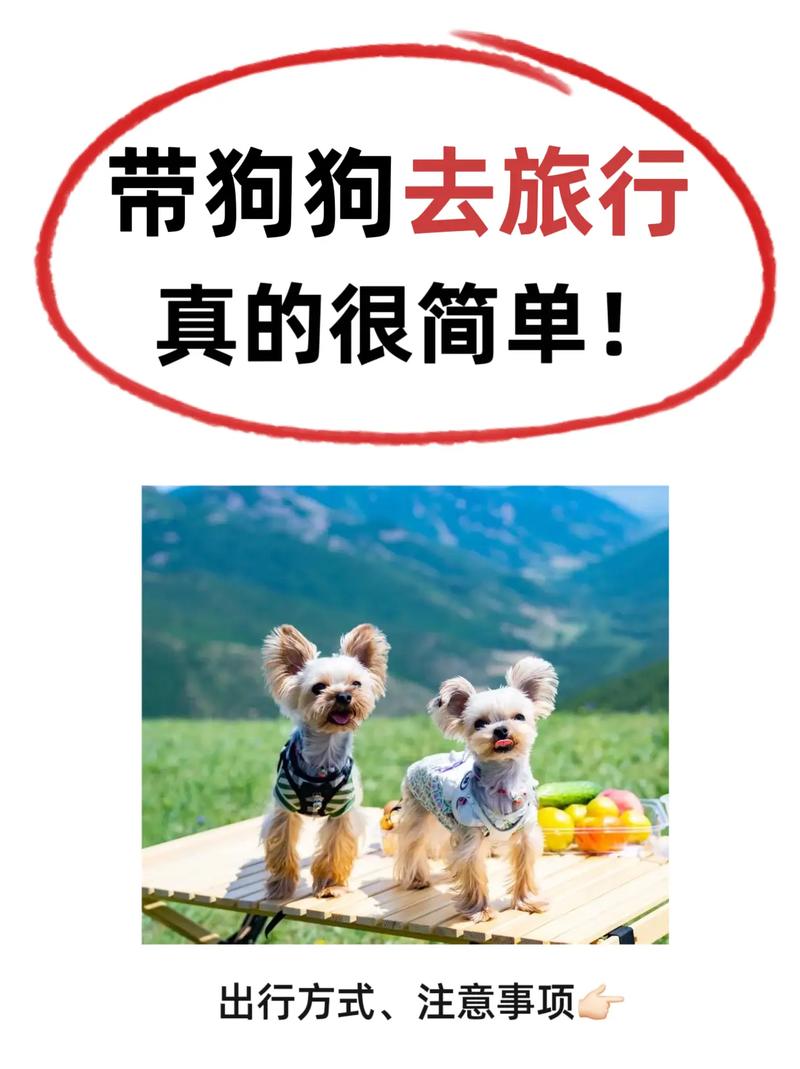 出去旅游狗狗怎么办