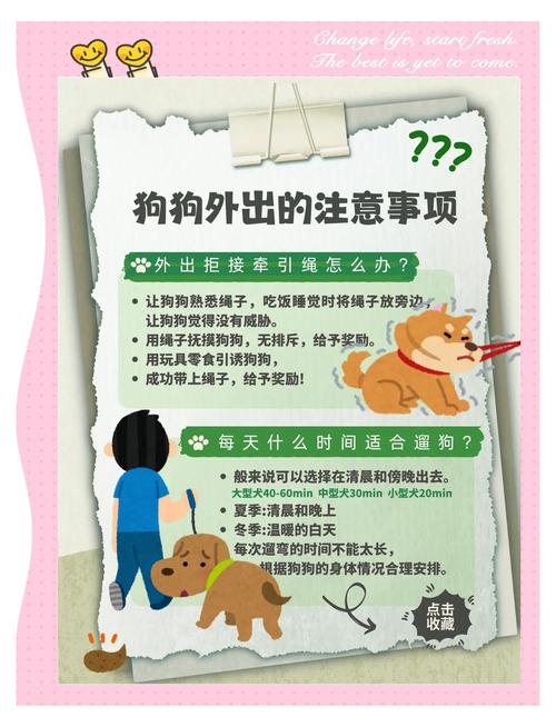 假期想要带狗狗出去旅游,需要注意些什么啊?