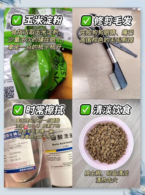 狗狗可以吃淀粉吗