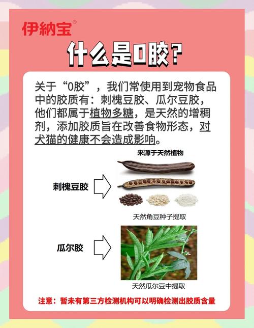 比熊犬可以吃粉条和韭菜吗