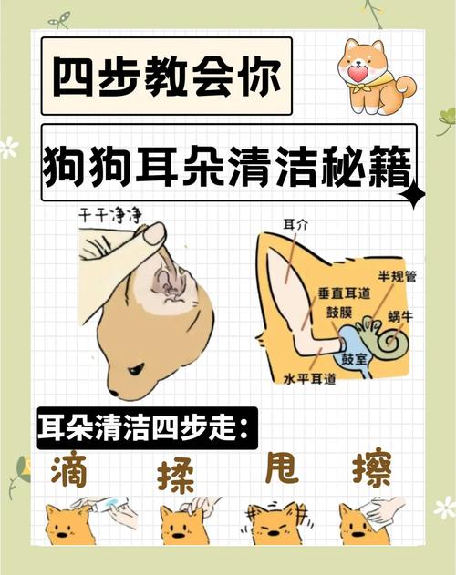 小狗耳螨怎么治疗比较好?